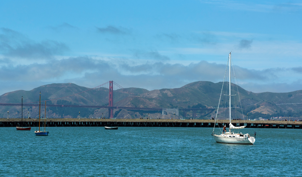 Best Places To Try Authentic Local Cuisine In San Francisco