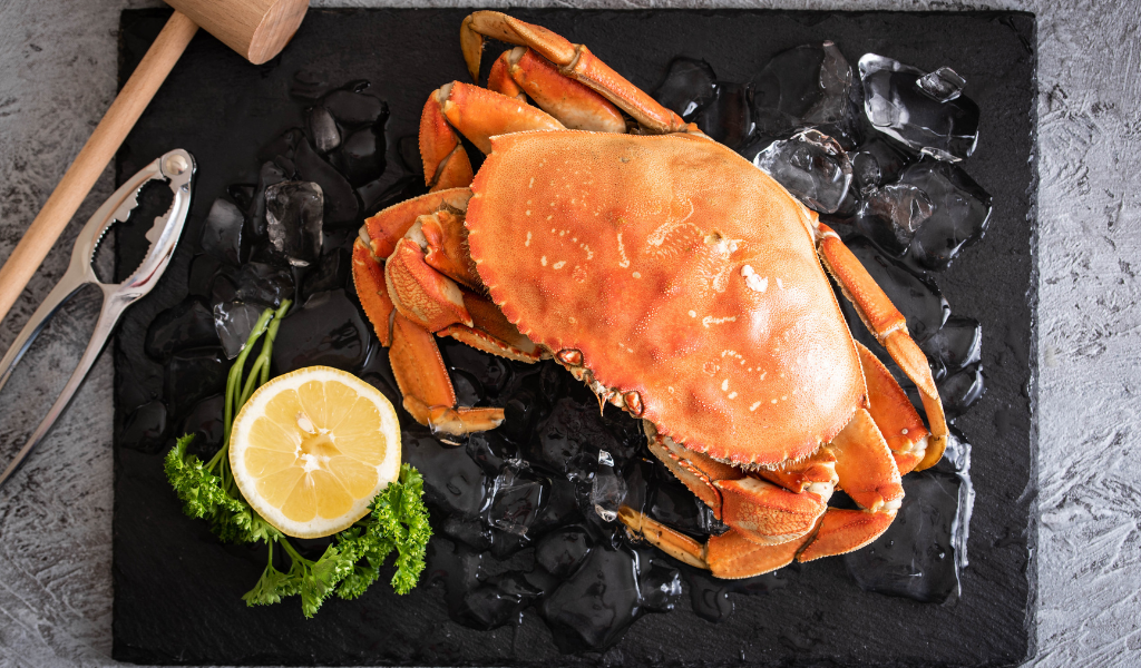 Dungeness Crab